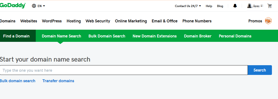 Godaddy Domain Search